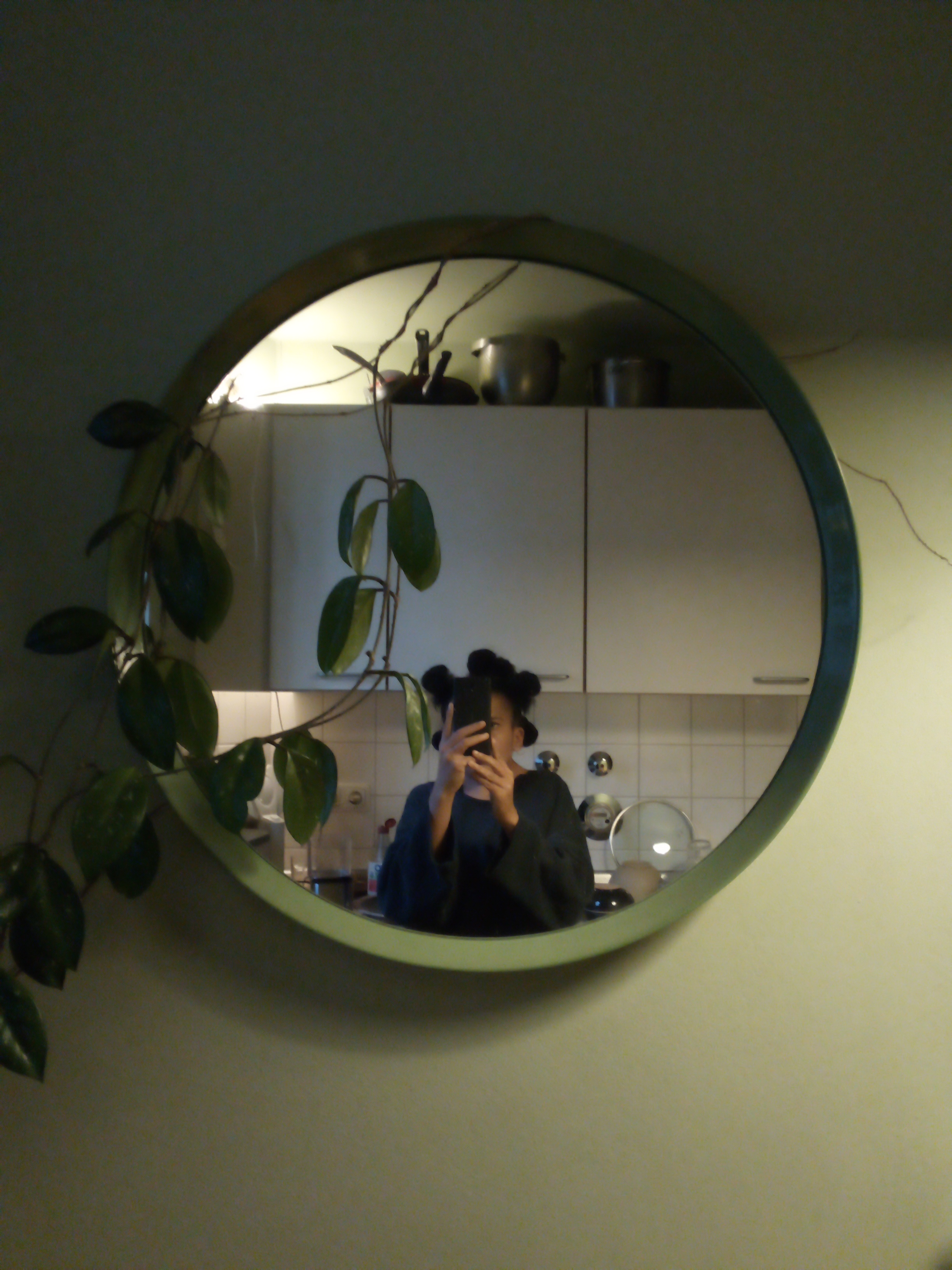 person with five afro-puffs taking a selfie in front of a round mirror with a green frame on a green wall. A hoya plant hangs in front of the mirror.